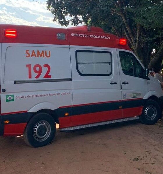 2023 08 23 11 20 21 whatsapp image 2023 08 18 at 195627 1000x600 Tragédia em Paranavaí - Homem de 77 anos perde a vida após ataque de abelhas