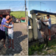 Ato de humanidade - Vaqueiro doa equino para criança que perdeu sua potra em Piquiri