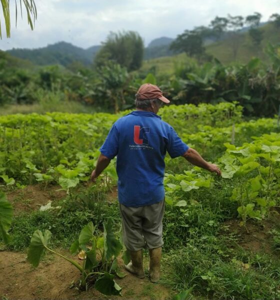 CDA Guarapari Agricultor Mudanças no Programa de Compra Direta de Alimentos - Melhorias para Municípios e Beneficiários