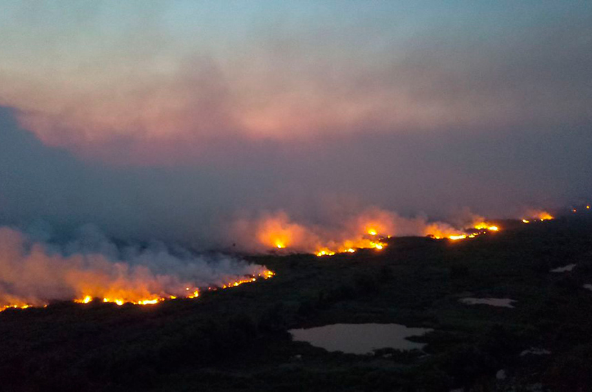 Impacto dos Incêndios no Pantanal Brasileiro - Uma Análise Profunda