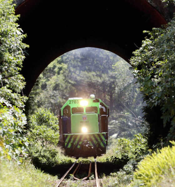 a9f0d0954ccd3965bcfc3f1de4923c4d2ab2da4a Nova Ferroeste - Estudos Atualizados no Instituto Brasileiro do Meio Ambiente e dos Recursos Naturais Renováveis (Ibama)