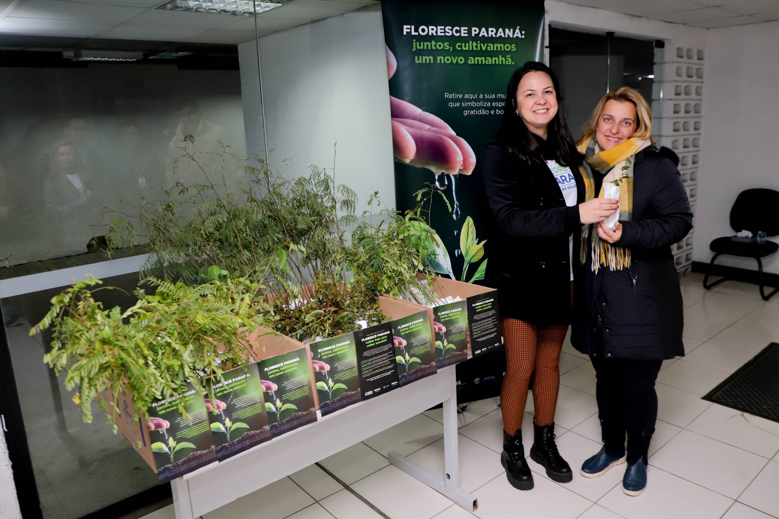 cd4a6f84 floresce parana 28 08 23 5 scaled Floresce Paraná - Uma iniciativa para encorajar o voluntariado através da distribuição de 5 mil mudas