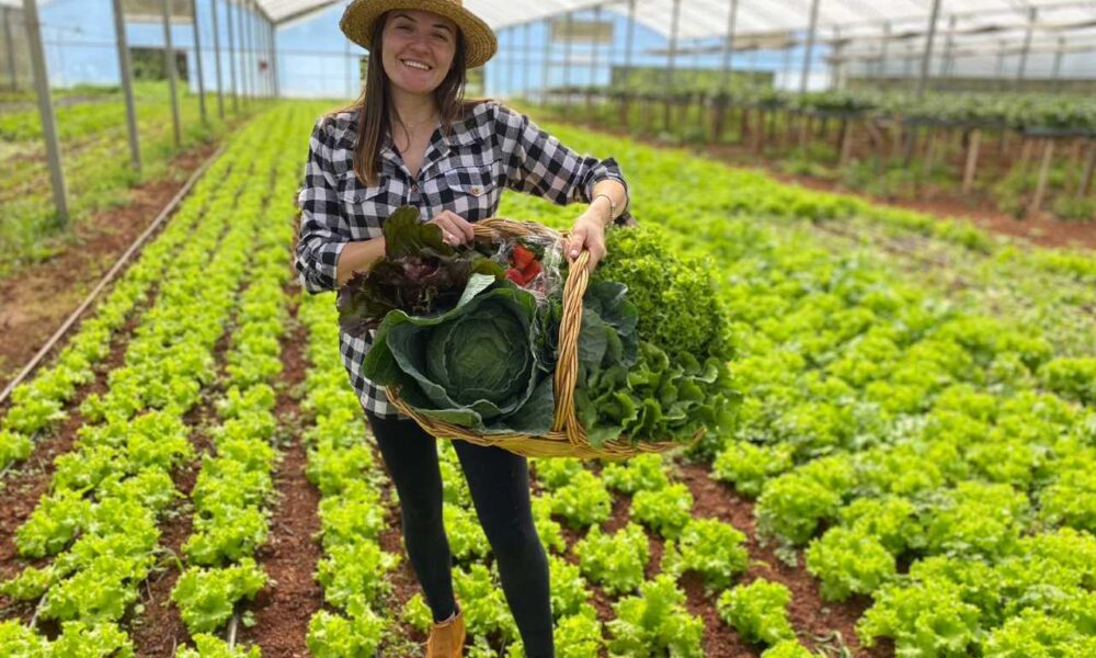 samara taffarel romanzini 2 A Ascensão das Mulheres na Agricultura Familiar em Santa Catarina