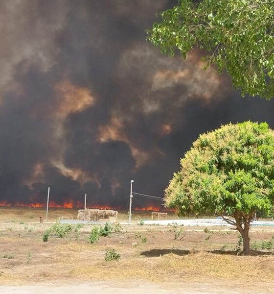 whatsapp image 2023 08 23 at 14 54 47 1692816347 Grande incêndio assola o sul do Piauí - Uma operação de resgate em andamento