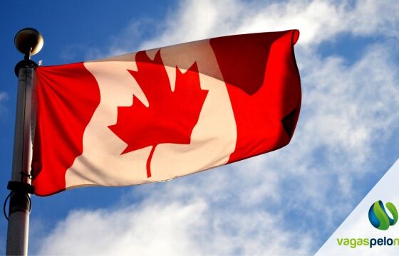 Oportunidades de Emprego na Multinacional Suíça no Canadá - Centenas de Vagas Disponíveis!