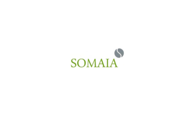 Somaia - Oportunidade de Emprego para Engenheiro Florestal em Amarante