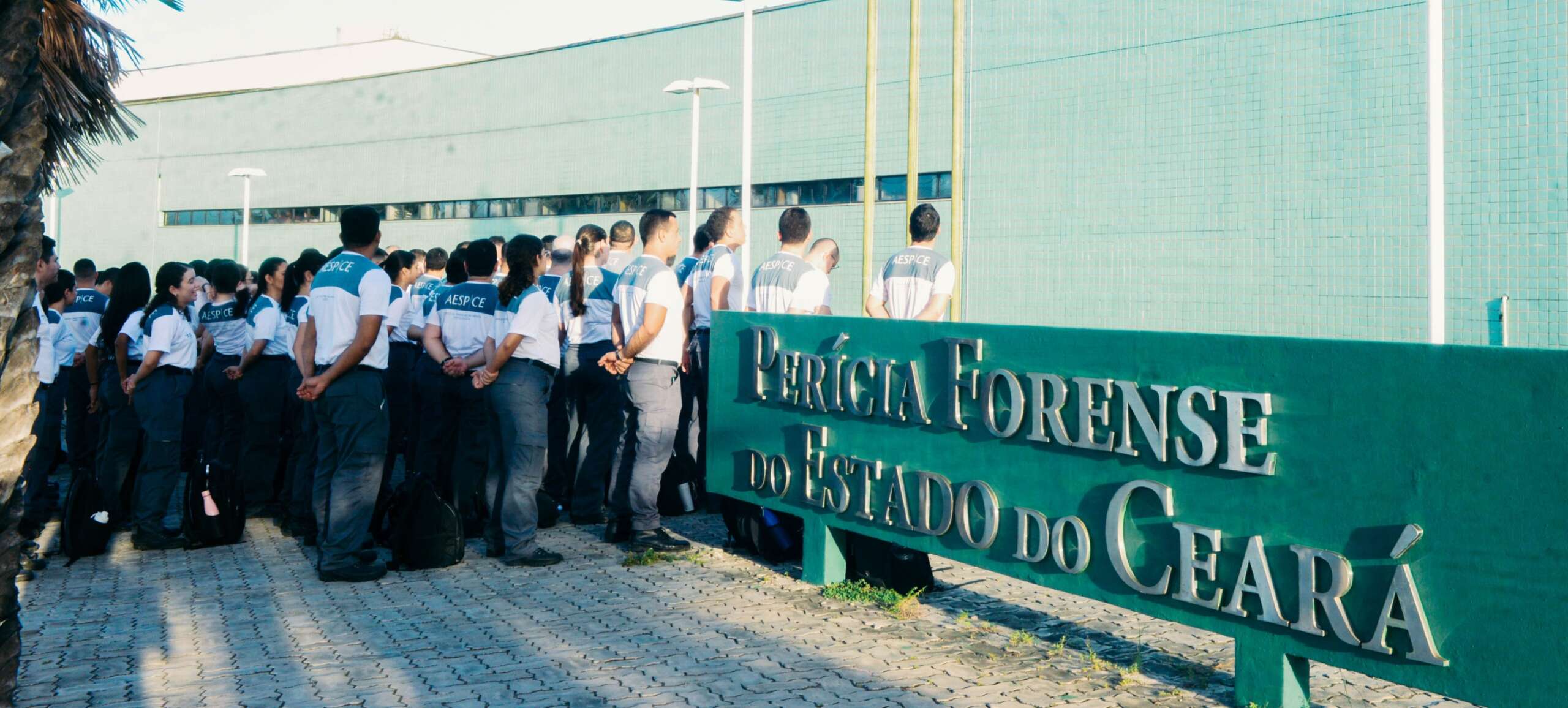 Pefoce Celebra Conclusão do Treinamento de Novos Peritos e Auxiliares de Perícia