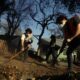 Como a Calif rnia Est Transformando a Seguran a dos Trabalhadores Ap s Inc ndios Catastr ficos Um Raio X de US 25 Milh es Como a Califórnia Está Transformando a Segurança dos Trabalhadores Após Incêndios Catastróficos: Um Raio-X de US$ 25 Milhões