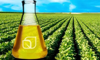 Como a Soja e o Biodiesel Est o Moldando o Futuro do Brasil Uma Jornada Pelo Mercado de Trabalho Economia e Geopol tica Como a Soja e o Biodiesel Estão Moldando o Futuro do Brasil: Uma Jornada Pelo Mercado de Trabalho, Economia e Geopolítica