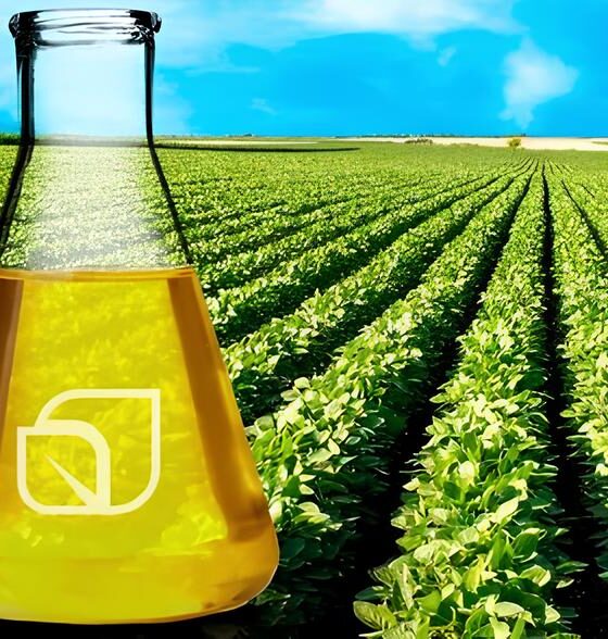 Como a Soja e o Biodiesel Estão Moldando o Futuro do Brasil: Uma Jornada Pelo Mercado de Trabalho, Economia e Geopolítica 2 Como a Soja e o Biodiesel Est o Moldando o Futuro do Brasil Uma Jornada Pelo Mercado de Trabalho Economia e Geopol tica Como a Soja e o Biodiesel Estão Moldando o Futuro do Brasil: Uma Jornada Pelo Mercado de Trabalho, Economia e Geopolítica