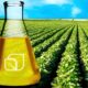 Como a Soja e o Biodiesel Est o Moldando o Futuro do Brasil Uma Jornada Pelo Mercado de Trabalho Economia e Geopol tica Como a Soja e o Biodiesel Estão Moldando o Futuro do Brasil: Uma Jornada Pelo Mercado de Trabalho, Economia e Geopolítica