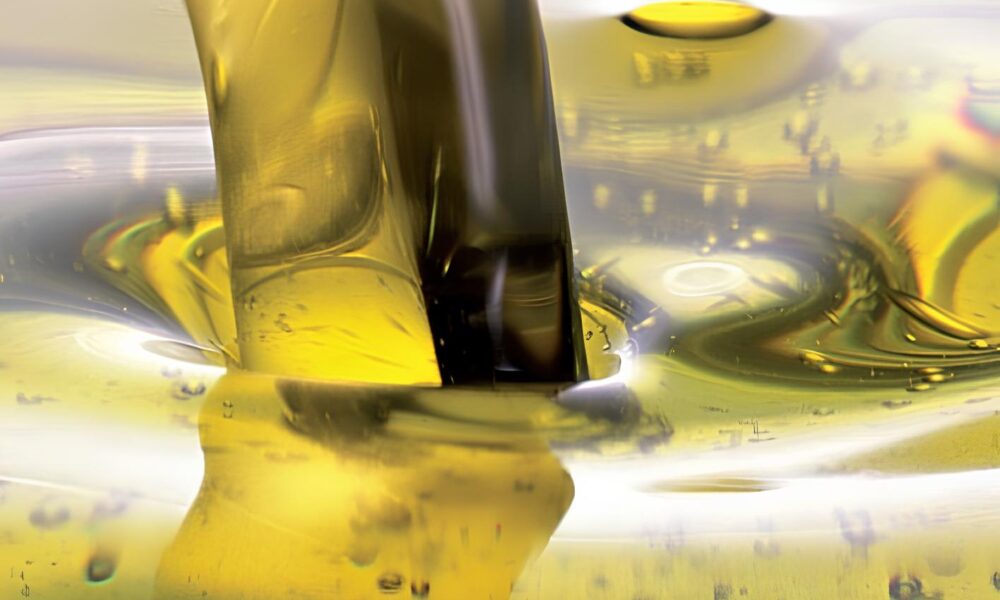 Como a Soja e o Biodiesel Moldam o Futuro do Brasil no Tabuleiro Global Como a Soja e o Biodiesel Moldam o Futuro do Brasil no Tabuleiro Global