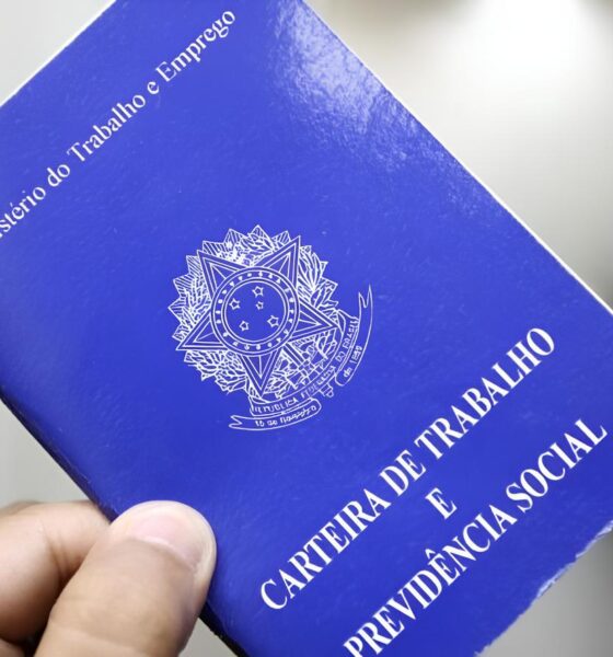Mandaguari em Transformação: Oportunidades de Emprego e o Futuro da Cidade 2 Mandaguari em Transforma o Oportunidades de Emprego e o Futuro da Cidade Mandaguari em Transformação: Oportunidades de Emprego e o Futuro da Cidade