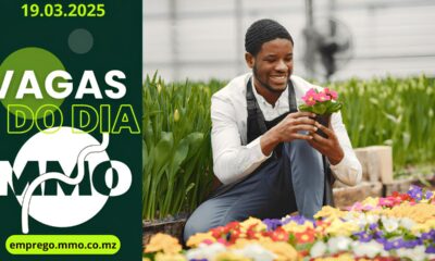 O Dia em que a Matola Virou o Cora o de Mo ambique Vagas Sonhos e Oportunidades no Horizonte O Dia em que a Matola Virou o Coração de Moçambique: Vagas, Sonhos e Oportunidades no Horizonte