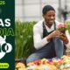 O Dia em que a Matola Virou o Cora o de Mo ambique Vagas Sonhos e Oportunidades no Horizonte O Dia em que a Matola Virou o Coração de Moçambique: Vagas, Sonhos e Oportunidades no Horizonte