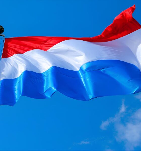 Por Que Luxemburgo Está Se Tornando o Novo Eldorado Profissional da Europa? 2 Por Que Luxemburgo Est Se Tornando o Novo Eldorado Profissional da Europa Por Que Luxemburgo Está Se Tornando o Novo Eldorado Profissional da Europa?