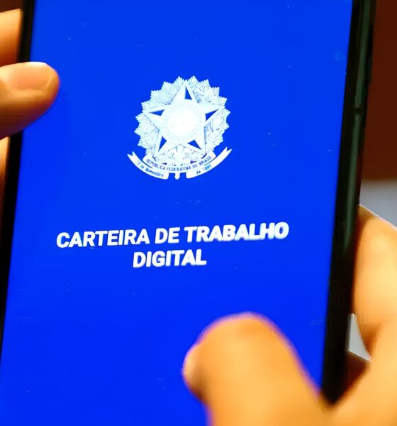 Santa Catarina em Alta: 9 Mil Vagas de Emprego e Um Futuro Promissor no Vale do Itajaí 2 Santa Catarina em Alta 9 Mil Vagas de Emprego e Um Futuro Promissor no Vale do Itaja Santa Catarina em Alta: 9 Mil Vagas de Emprego e Um Futuro Promissor no Vale do Itajaí