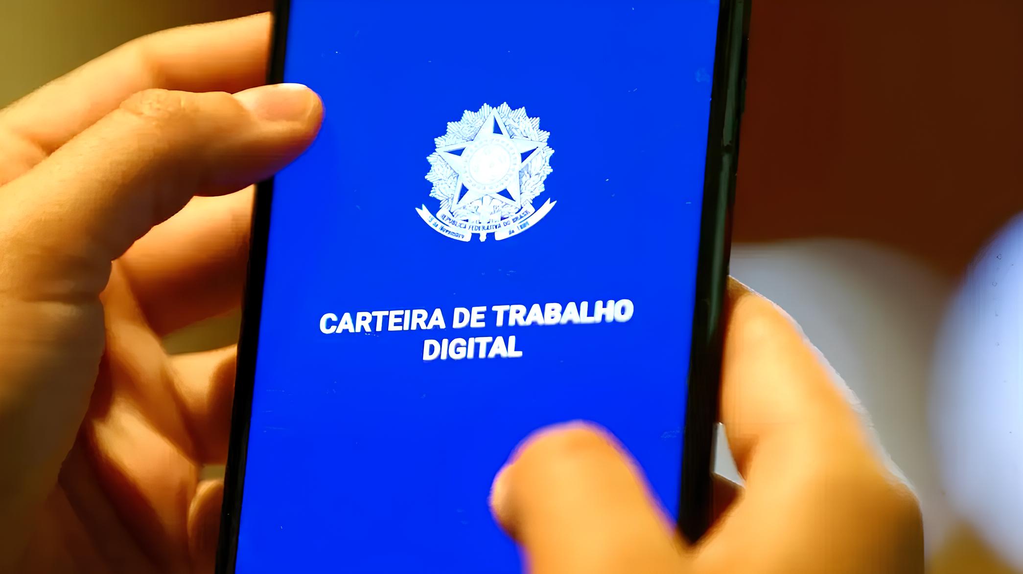 Santa Catarina em Alta: 9 Mil Vagas de Emprego e Um Futuro Promissor no Vale do Itajaí 1 Santa Catarina em Alta 9 Mil Vagas de Emprego e Um Futuro Promissor no Vale do Itaja Santa Catarina em Alta: 9 Mil Vagas de Emprego e Um Futuro Promissor no Vale do Itajaí