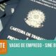 Santa Catarina em Alta Por Que 9 Mil Vagas de Emprego S o Mais do Que N meros Santa Catarina em Alta: Por Que 9 Mil Vagas de Emprego São Mais do Que Números?