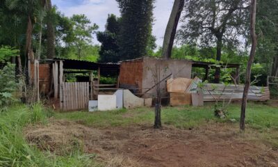 A Hist ria Por Tr s da Bala O Que Faz Um Jovem Trocar a Esperan a Pelo Medo A História Por Trás da Bala: O Que Faz Um Jovem Trocar a Esperança Pelo Medo?