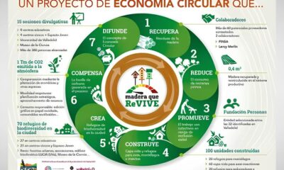 Amazonas na Vanguarda Criativa Como 83 5 Mil Trabalhadores Est o Repensando o Futuro da Economia Amazonas na Vanguarda Criativa: Como 83,5 Mil Trabalhadores Estão Repensando o Futuro da Economia