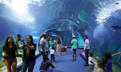 Bioparque Pantanal Uma Jornada de Oportunidades em um Santu rio Natural Bioparque Pantanal: Uma Jornada de Oportunidades em um Santuário Natural