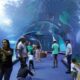 Bioparque Pantanal Uma Jornada de Oportunidades em um Santu rio Natural Bioparque Pantanal: Uma Jornada de Oportunidades em um Santuário Natural