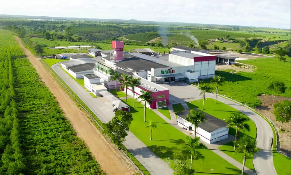 Como a Naturaves Est Transformando Eun polis Novas Vagas e Um Futuro Promissor Como a Naturaves Está Transformando Eunápolis: Novas Vagas e Um Futuro Promissor