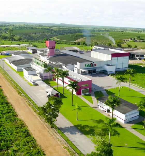 Como a Naturaves Está Transformando Eunápolis: Novas Vagas e Um Futuro Promissor 2 Como a Naturaves Est Transformando Eun polis Novas Vagas e Um Futuro Promissor Como a Naturaves Está Transformando Eunápolis: Novas Vagas e Um Futuro Promissor