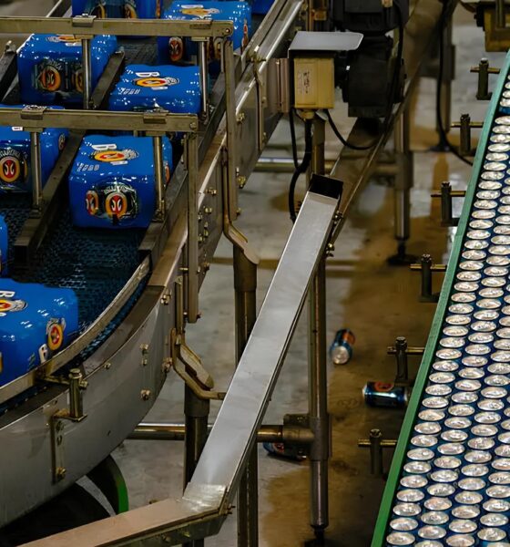 Como o Setor Cervejeiro Está Abrindo Portas para Milhares de Brasileiros em 2025 2 Como o Setor Cervejeiro Est Abrindo Portas para Milhares de Brasileiros em 2025 Como o Setor Cervejeiro Está Abrindo Portas para Milhares de Brasileiros em 2025