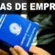Jo o Pessoa em Foco 457 Vagas de Emprego Abrem Portas Para o Futuro em Abril de 2025 João Pessoa em Foco: 457 Vagas de Emprego Abrem Portas Para o Futuro em Abril de 2025