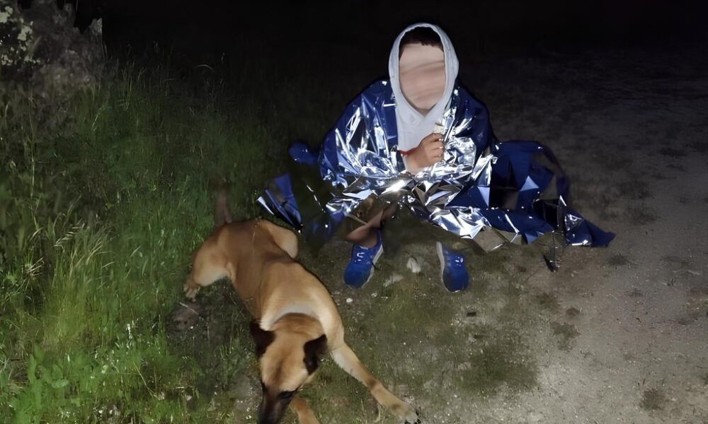 O Caso do Menino Perdido na Chamusca Como a GNR Salvou Vidas com Tecnologia e Determina o O Caso do Menino Perdido na Chamusca: Como a GNR Salvou Vidas com Tecnologia e Determinação