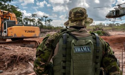 O Dia que Pode Mudar Sua Vida Tudo o Que Voc Precisa Saber para Conquistar uma Vaga no IBAMA em 2025 O Dia que Pode Mudar Sua Vida: Tudo o Que Você Precisa Saber para Conquistar uma Vaga no IBAMA em 2025