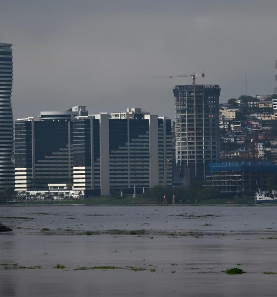 O Equador à Beira do Colapso: Crime, Desemprego e a Incerteza de um Futuro Incerto 2 O Equador Beira do Colapso Crime Desemprego e a Incerteza de um Futuro Incerto O Equador à Beira do Colapso: Crime, Desemprego e a Incerteza de um Futuro Incerto