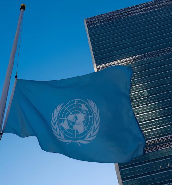 Oportunidade Única: Como um Estágio na ONU Pode Transformar Sua Carreira em Ponta Grossa 2 Oportunidade nica Como um Est gio na ONU Pode Transformar Sua Carreira em Ponta Grossa Oportunidade Única: Como um Estágio na ONU Pode Transformar Sua Carreira em Ponta Grossa