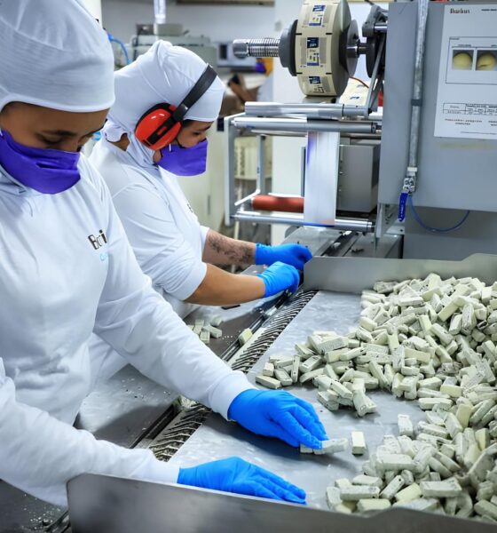 Por Que o Paraná Está Derretendo Corações e Criando Empregos no Setor de Chocolates? 2 Por Que o Paran Est Derretendo Cora es e Criando Empregos no Setor de Chocolates Por Que o Paraná Está Derretendo Corações e Criando Empregos no Setor de Chocolates?