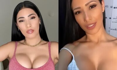 Quando o Glamour Encontra a Lei Por Que um Assessor de Artista N o Funcion rio Mas Sim Parceiro Quando o Glamour Encontra a Lei: Por Que um Assessor de Artista Não é Funcionário, Mas Sim Parceiro?