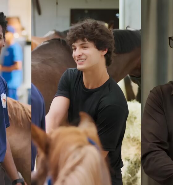 Quem Tira a Virgindade de Tiago? A Intrigante Jornada de Autoconhecimento em Vale Tudo 2 Quem Tira a Virgindade de Tiago A Intrigante Jornada de Autoconhecimento em Vale Tudo Quem Tira a Virgindade de Tiago? A Intrigante Jornada de Autoconhecimento em Vale Tudo