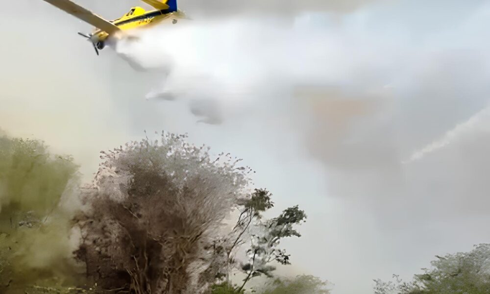 S o Paulo Contra as Chamas O Plano de Guerra dos Produtores de Cana e o Futuro do Controle de Queimadas São Paulo Contra as Chamas: O Plano de Guerra dos Produtores de Cana e o Futuro do Controle de Queimadas