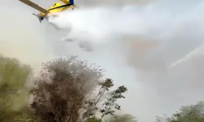 S o Paulo Contra as Chamas O Plano de Guerra dos Produtores de Cana e o Futuro do Controle de Queimadas São Paulo Contra as Chamas: O Plano de Guerra dos Produtores de Cana e o Futuro do Controle de Queimadas