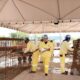 Saldo de Empregos na Bahia Dispara Como o Estado se Tornou um Farol de Oportunidades no Nordeste Saldo de Empregos na Bahia Dispara: Como o Estado se Tornou um Farol de Oportunidades no Nordeste