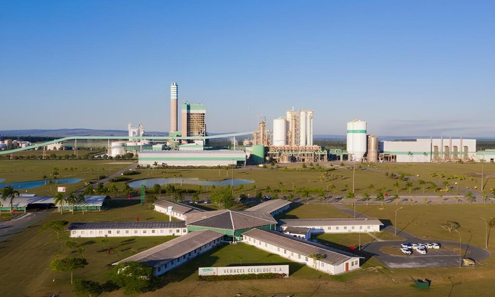 Vagas de Emprego em Alta Como a Veracel Celulose Est Redefinindo Oportunidades na Bahia Vagas de Emprego em Alta: Como a Veracel Celulose Está Redefinindo Oportunidades na Bahia