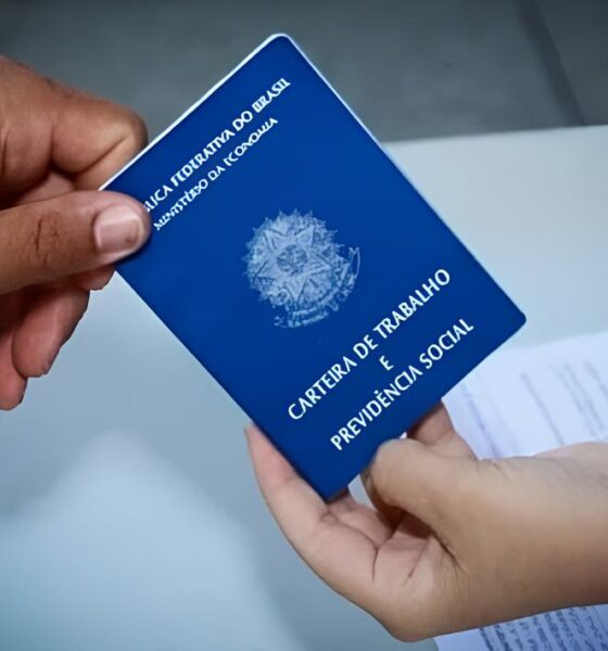 109 Vagas de Emprego em Ivaipor Uma Oportunidade para Reinventar Sua Hist ria 109 Vagas de Emprego em Ivaiporã: Uma Oportunidade para Reinventar Sua História