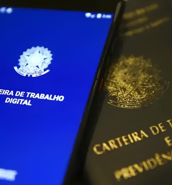 138 Vagas de Emprego no Acre: Uma Jornada de Oportunidades e Inclusão no Mercado de Trabalho 2 138 Vagas de Emprego no Acre Uma Jornada de Oportunidades e Inclus o no Mercado de Trabalho 138 Vagas de Emprego no Acre: Uma Jornada de Oportunidades e Inclusão no Mercado de Trabalho