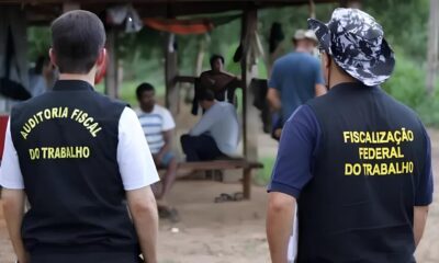 30 Anos de Luta O Legado do GEFM e o Combate ao Trabalho Escravo no Brasil 30 Anos de Luta: O Legado do GEFM e o Combate ao Trabalho Escravo no Brasil
