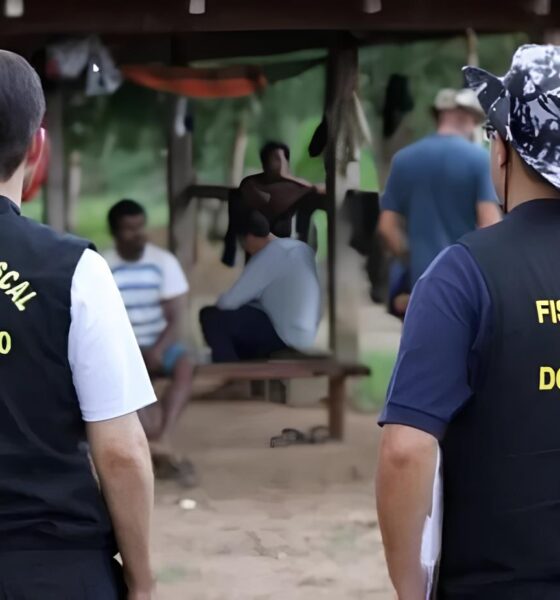 30 Anos de Luta: O Legado do GEFM e o Combate ao Trabalho Escravo no Brasil 2 30 Anos de Luta O Legado do GEFM e o Combate ao Trabalho Escravo no Brasil 30 Anos de Luta: O Legado do GEFM e o Combate ao Trabalho Escravo no Brasil