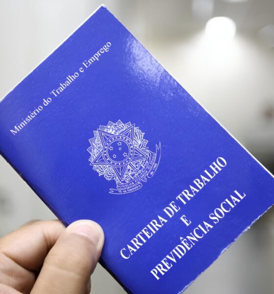 340 Vagas de Emprego em Itapetininga: Uma Oportunidade para Reinventar o Futuro Profissional 2 340 Vagas de Emprego em Itapetininga Uma Oportunidade para Reinventar o Futuro Profissional 340 Vagas de Emprego em Itapetininga: Uma Oportunidade para Reinventar o Futuro Profissional
