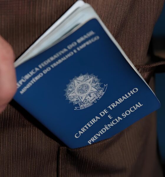 42 Vagas de Emprego em Canoinhas: A Oportunidade Que Pode Mudar Sua Vida Começa Aqui 2 42 Vagas de Emprego em Canoinhas A Oportunidade Que Pode Mudar Sua Vida Come a Aqui 42 Vagas de Emprego em Canoinhas: A Oportunidade Que Pode Mudar Sua Vida Começa Aqui
