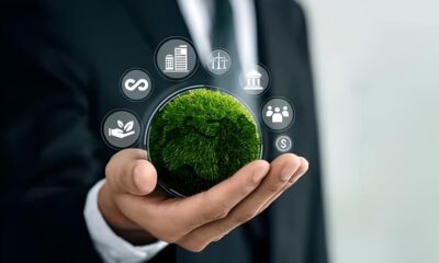 4 Estrat gias para Garantir a Sustentabilidade dos Neg cios e Salvaguardar Postos de Trabalho em 2025 Um Guia Essencial para Empresas e L deres 4 Estratégias para Garantir a Sustentabilidade dos Negócios e Salvaguardar Postos de Trabalho em 2025: Um Guia Essencial para Empresas e Líderes