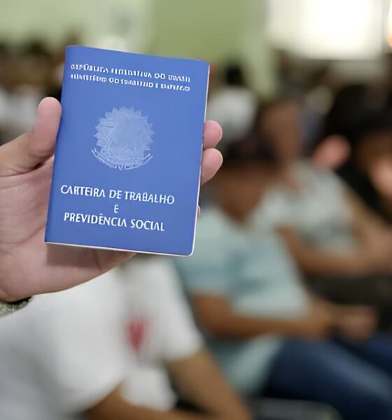 A Era da Carteira Assinada: Como o Brasil Enfrentou a Crise e Transformou o Mercado de Trabalho em 2025 2 A Era da Carteira Assinada Como o Brasil Enfrentou a Crise e Transformou o Mercado de Trabalho em 2025 A Era da Carteira Assinada: Como o Brasil Enfrentou a Crise e Transformou o Mercado de Trabalho em 2025